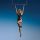 Cyrus, Miley - Endless summer vacation CD